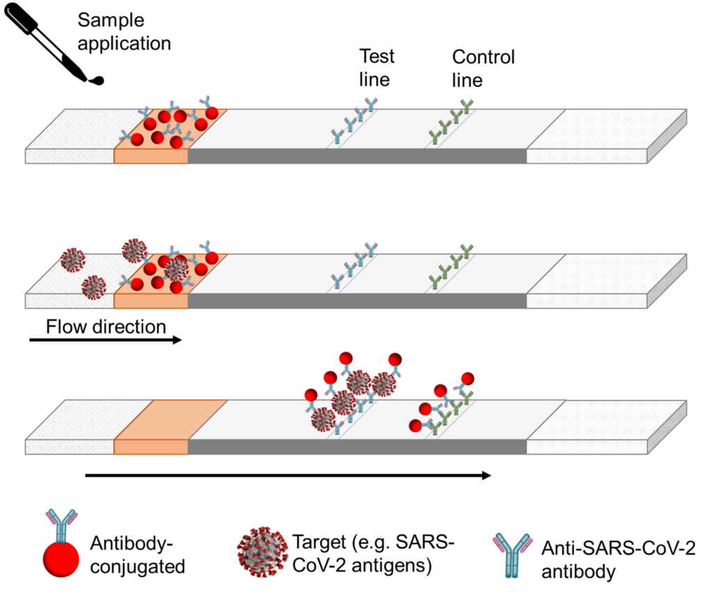 lateral-flow-assays-reagents-and-equipment-for-r-d-of-lateral-flow-assays