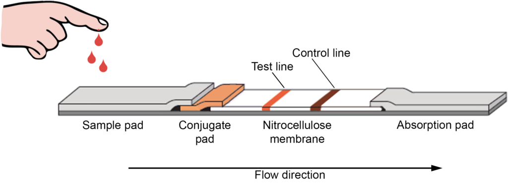 Schematic of a typical lateral flow assay device