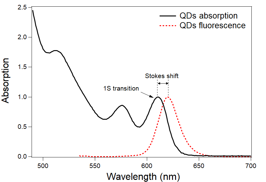 Quantum dots – Reagents and equipment for R&D of lateral flow assays